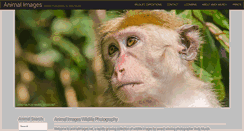 Desktop Screenshot of animalimages.net